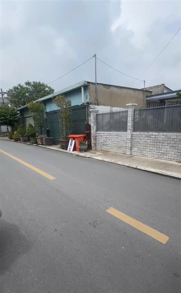 HÀNG HIẾM TÂN THÔNG – XƯỞNG FULL THỔ, ĐANG CÓ DÒNG TIỀN!