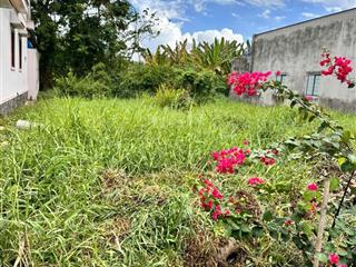 Đất thổ cư shr 117m2 (5mx26) hẻm xe hơi tỉnh lộ 826c xã phước lại cần giuộc long an chỉ 1,45 tỷ