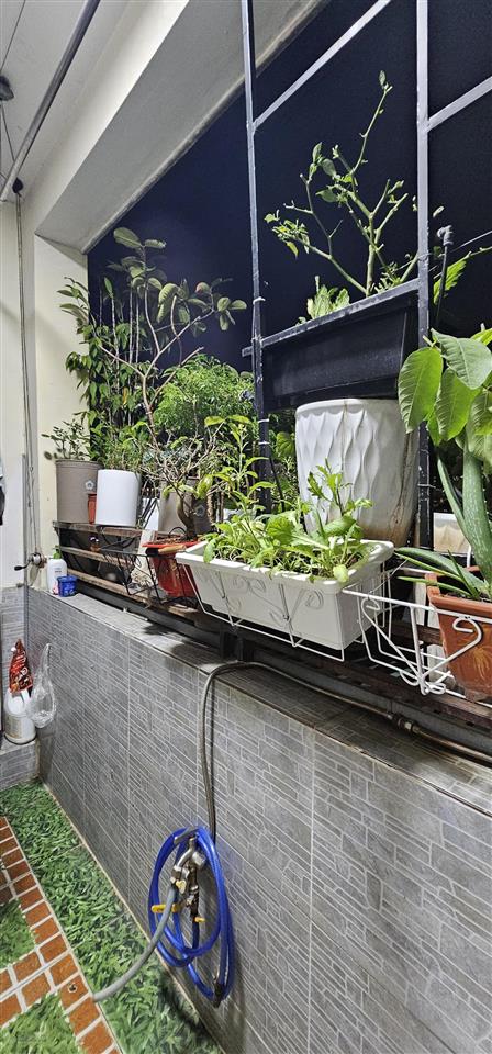 Quận 4, căn hộ cc khánh hội 2  100m²  3pn, 2wc  nội thất cơ bản 7 tỷ 500tr