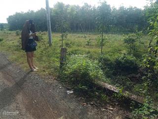 Bán đất tại thị trấn tân khai, hớn quản, bình phước, 950 triệu, 250m2, bao đẹp