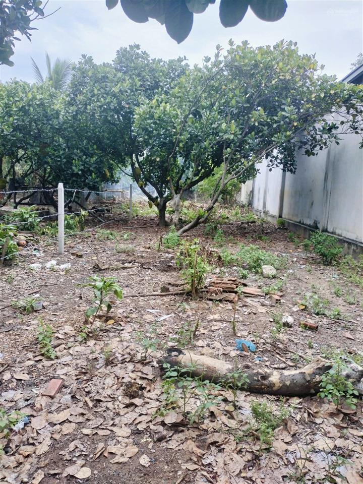 Hẻm đại lộ bình dương ô tô tới tận đất xây trọ hoặc làm nhà vườn mát mẻ