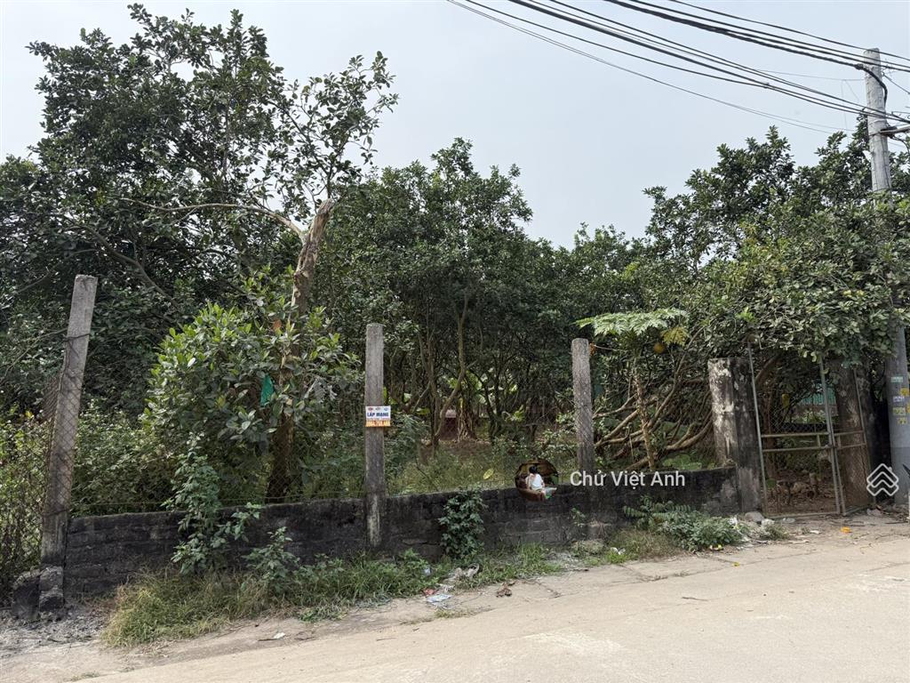 1 lô duy nhất  416m2 đất nông nghiệp đã có qh lên thổ cư  hỗ trợ xây dựng  đường rộng 7m  2.5tỷ