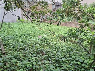 Đất chính chủ  phố nhật tảo  được cấp phép xây dựng nhà