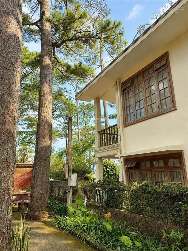 Bán khuôn viên đất và villa 2 mặt tiền đường 3/4 view rừng thông vĩnh viễn