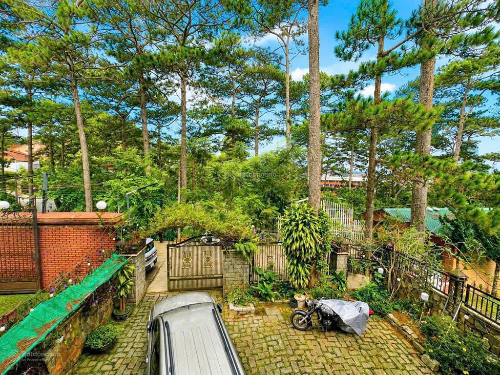 Bán khuôn viên đất và villa 2 mặt tiền đường 3/4 view rừng thông vĩnh viễn