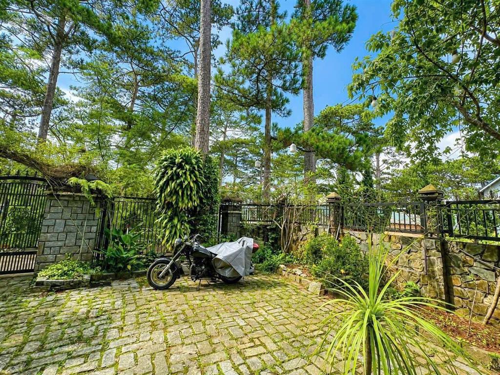 Bán khuôn viên đất và villa 2 mặt tiền đường 3/4 view rừng thông vĩnh viễn