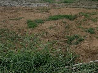 Ngộp ! bán gấp 125m thổ gần chợ rạch đào ( cũ ). giá 495tr shr chính chủ,  0843 378 *** thanh