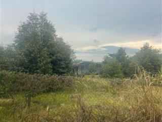 Chính chủ gấp bán đất tại khu phố tân thủy, 2,35 tỷ tl mạnh, 724 m2, hàng hiếm tại long khánh