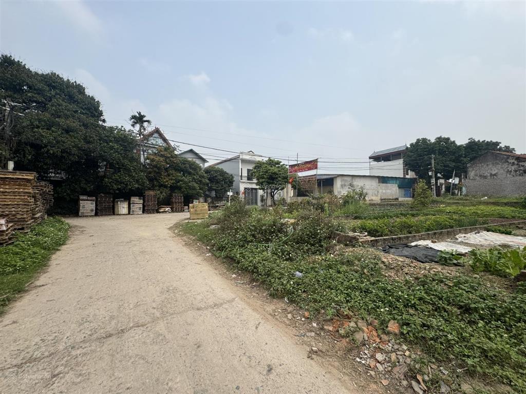 Chính chủ cần tiền cần bán đất chợ thắng trí  sóc sơn  74m full thổ cư  đường 2 ô tô tránh nhau.
