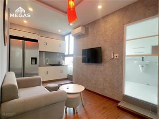 Cho thuê căn hộ 1 phòng ngủ full nội thất, ban công rộng rãi gần cầu ông lãnh, chợ bến thành
