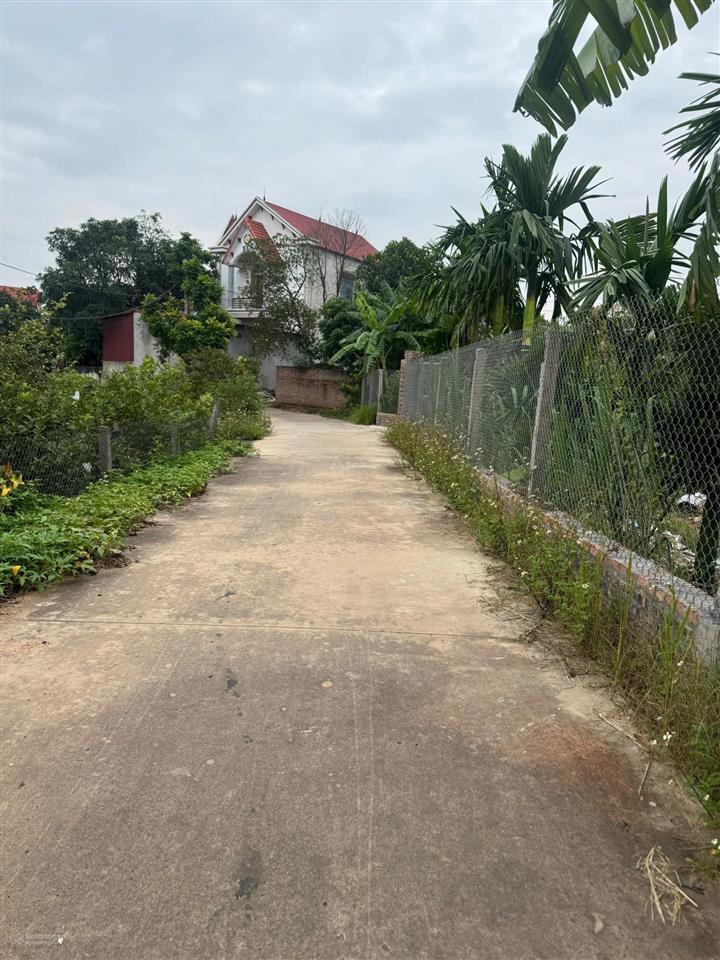 Bán đất tại đại lâm, 2,6 tỷ, 632 m2, giá cực chất, chính chủ
