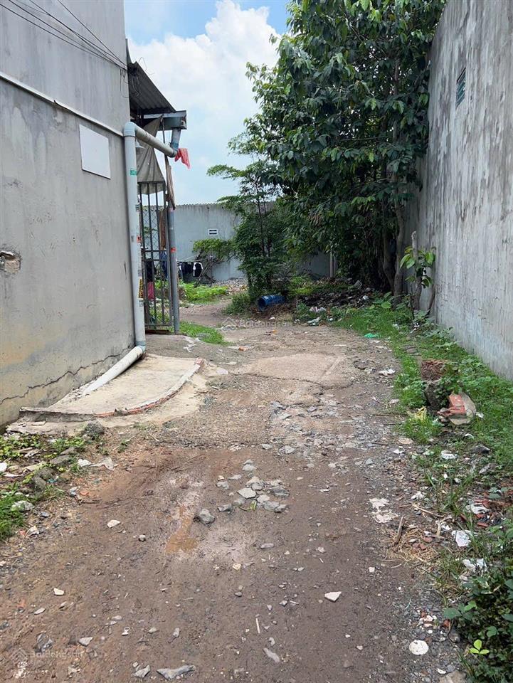 Bán đất chính chủ (xã an phước  đối diện ubnd xã tam an cũ)