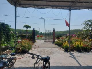 Chủ ngộp cần ra hàng gấp, đất ngay ql13, gần kcn