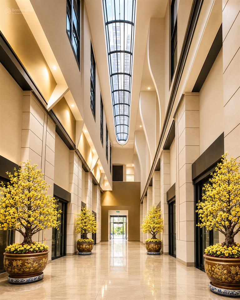 Căn hộ thương mại dịch vụ asiana capella, bình phú (quận 6), 50m2, giá 2,8 tỷ
