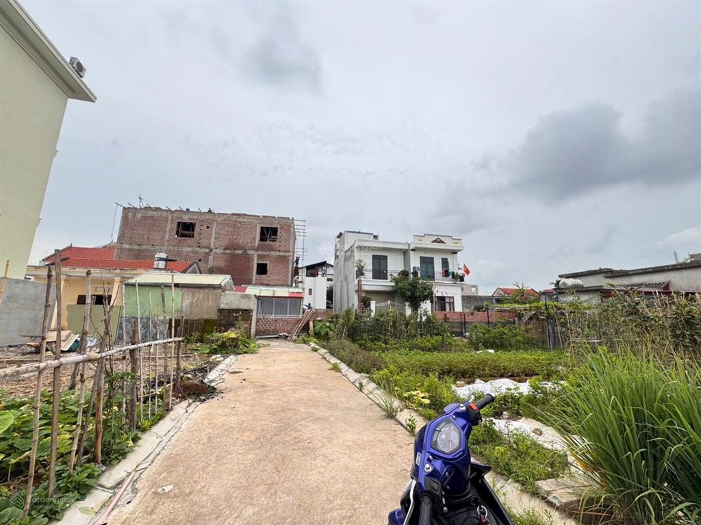 Giảm sâu lô đất 50m2 tại hoa động, phường thuỷ nguyên, hải phòng