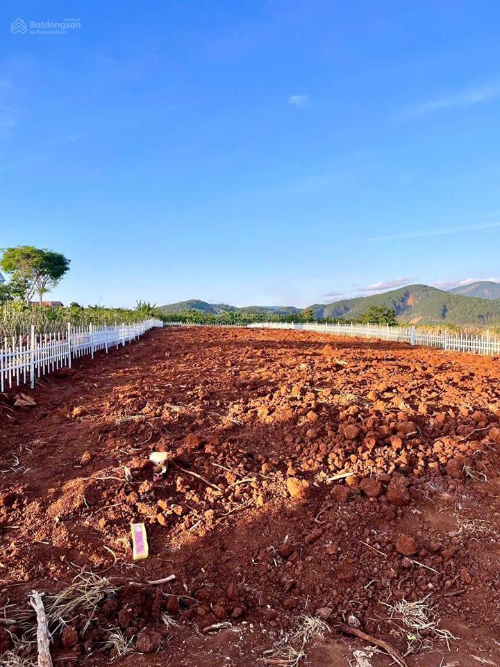 Bán lô đất gần 800m2 mặt tiền dài 12m có 200m xây dựng có thể lên thêm full đất