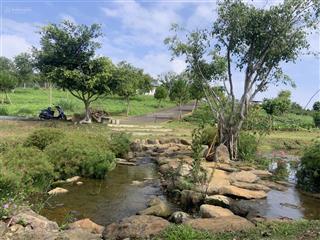 Nhà đầu tư  đừng đợi cao tốc xong mới mua