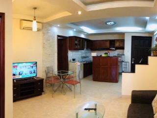 Cho thuê căn hộ 2pn chung cư nguyễn ngọc phương p19 bình thạnh