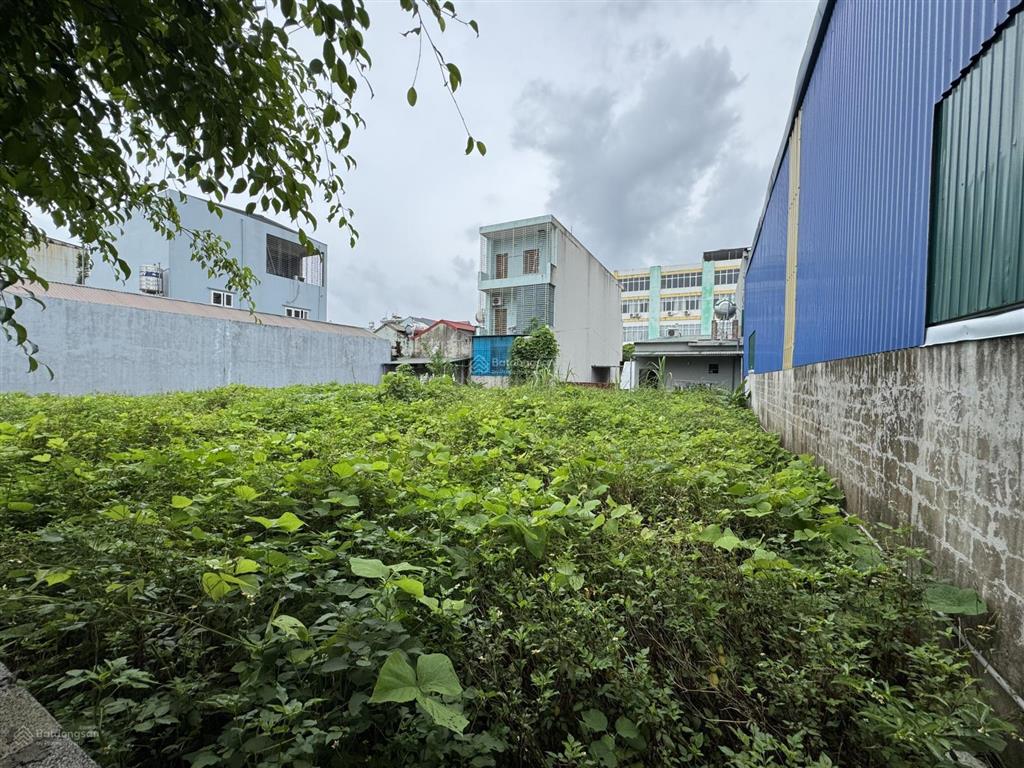 Bán đất tại quảng hà, quảng ninh gồm 7 sổ, mỗi sổ 100m2 tổng 700m2, gần chợ và bệnh viện