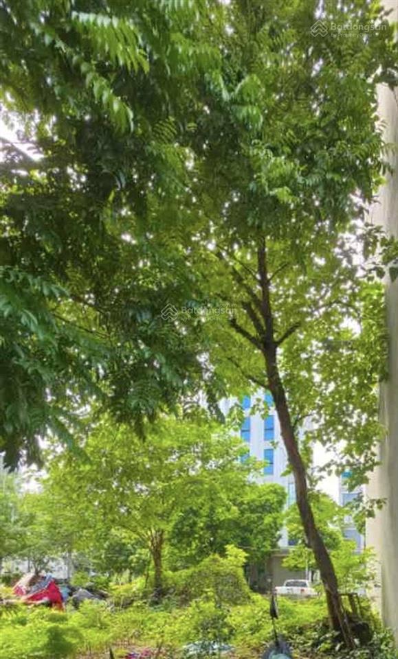 Đất bán khu dv đồng đế la dương 50m vỉa hè phân lô kinh doanh đỉnh ô tô dừng đỗ 12.x tỷ