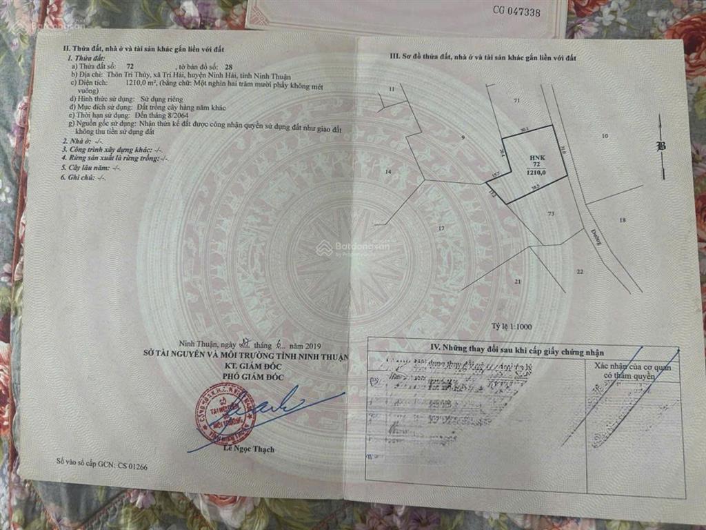 Có việc cần bán gấp hơn 4 sào đất đẹp mặt tiền dài gần 140m tại tri thủy