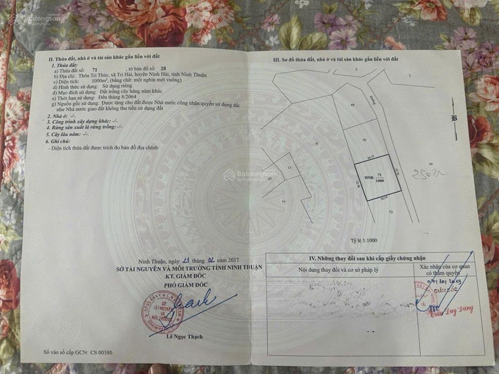 Có việc cần bán gấp hơn 4 sào đất đẹp mặt tiền dài gần 140m tại tri thủy