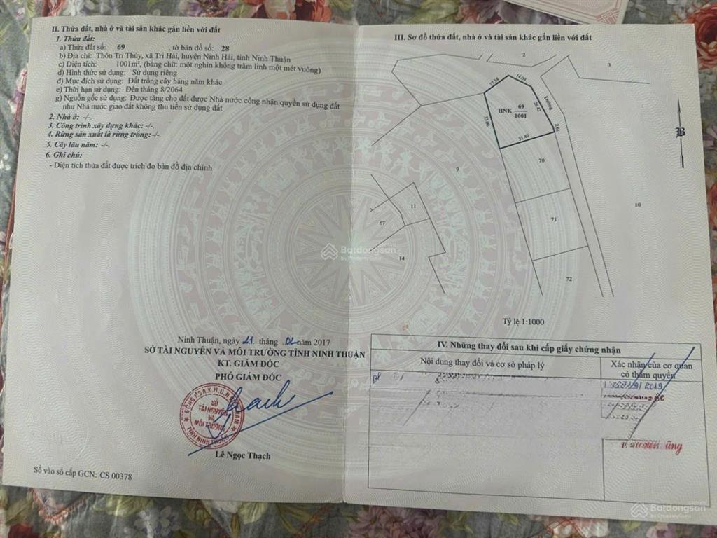 Có việc cần bán gấp hơn 4 sào đất đẹp mặt tiền dài gần 140m tại tri thủy