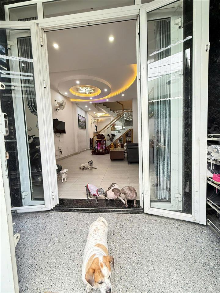 Chỉ 11 tỷnhà khu bàu cát hxh 8m cách 50m ra mt dt 4,1x18m (71,5m) 4 tầng đẹp, ở ngay