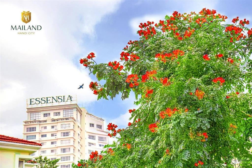 Bán căn 2pn, 88m2 chung cư essensia, mailand hanoi city