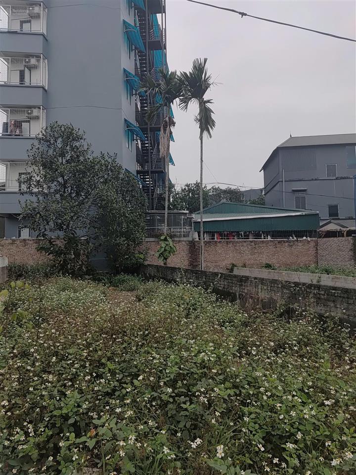 Bán đất ở giáp hồ tân xã, hòa lạc