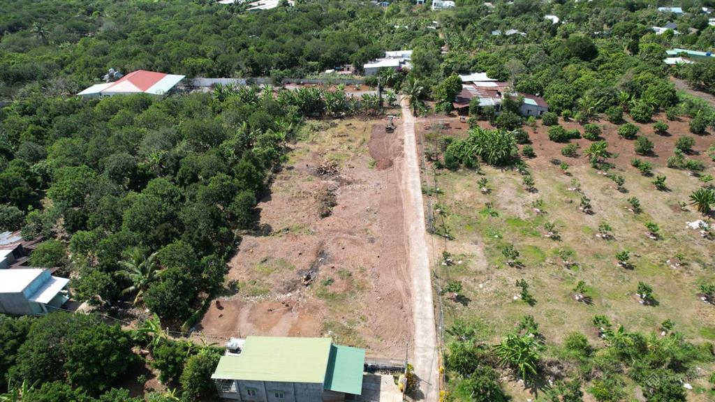 Bán đất dầu giây giá chỉ từ 599 triệu/nền