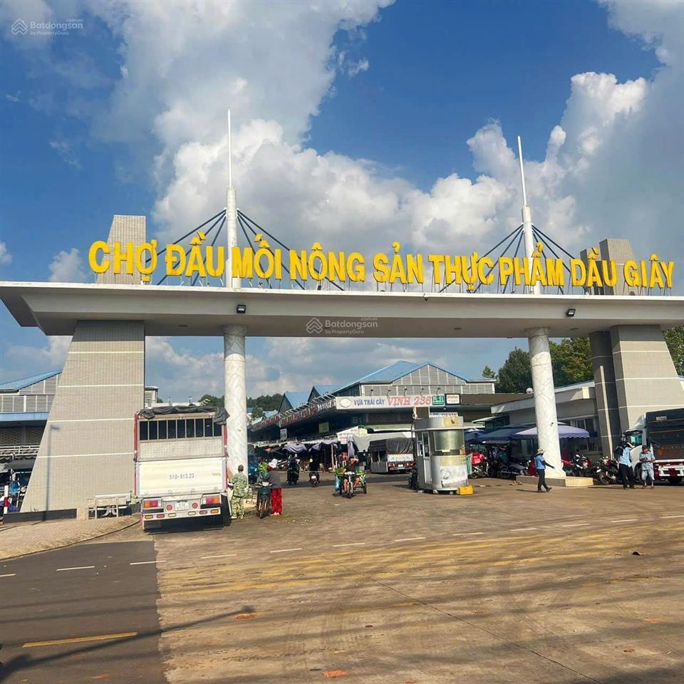 Bán đất dầu giây giá chỉ từ 599 triệu/nền