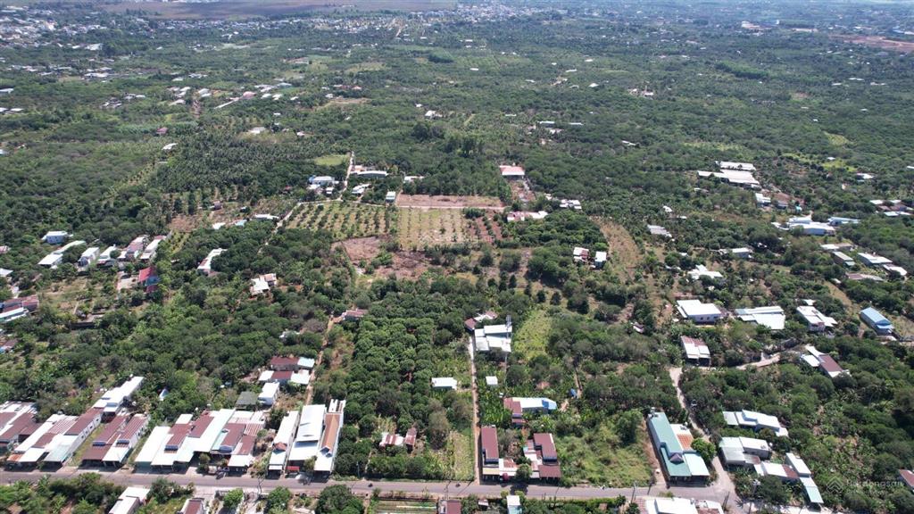 Bán đất dầu giây giá chỉ từ 599 triệu/nền