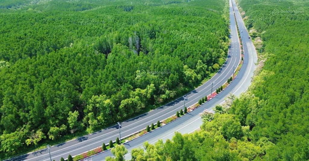 Bán nhanh 1.860m2 đất xã bình khánh, cần giờ, 640m2 thổ, cách rừng sác 100m   0962 839 *** ly