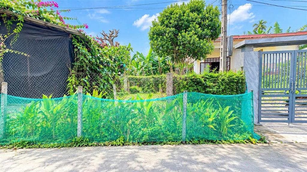 590 triệu sở hữu 130m2 đất full thổ cư điện bàn tây!