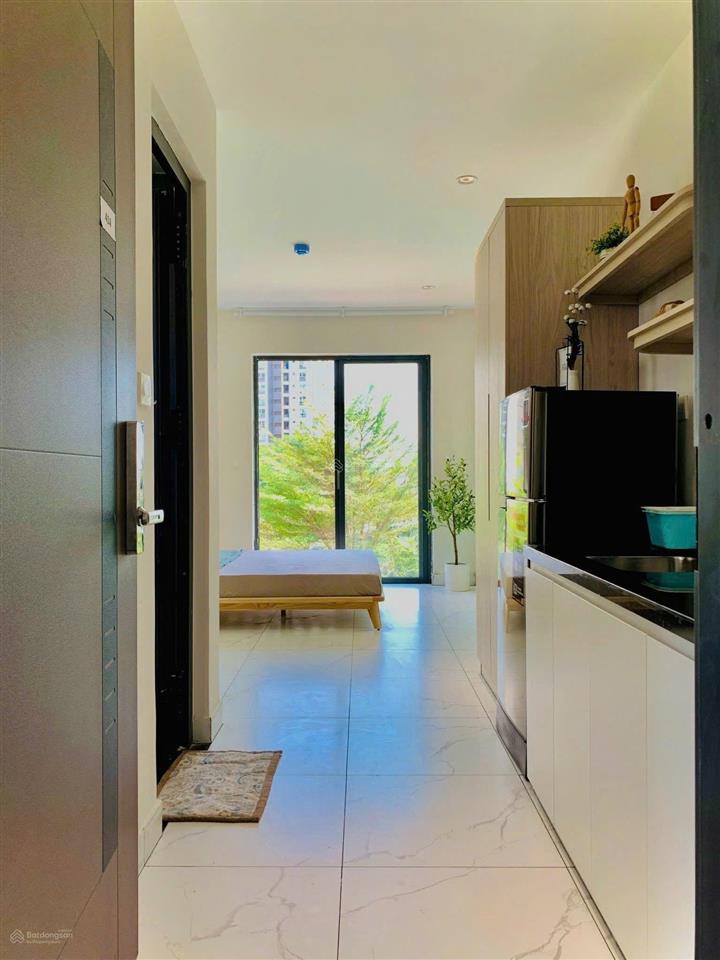 Cho thuê căn hộ mini gần homyland lakeview city quận 2