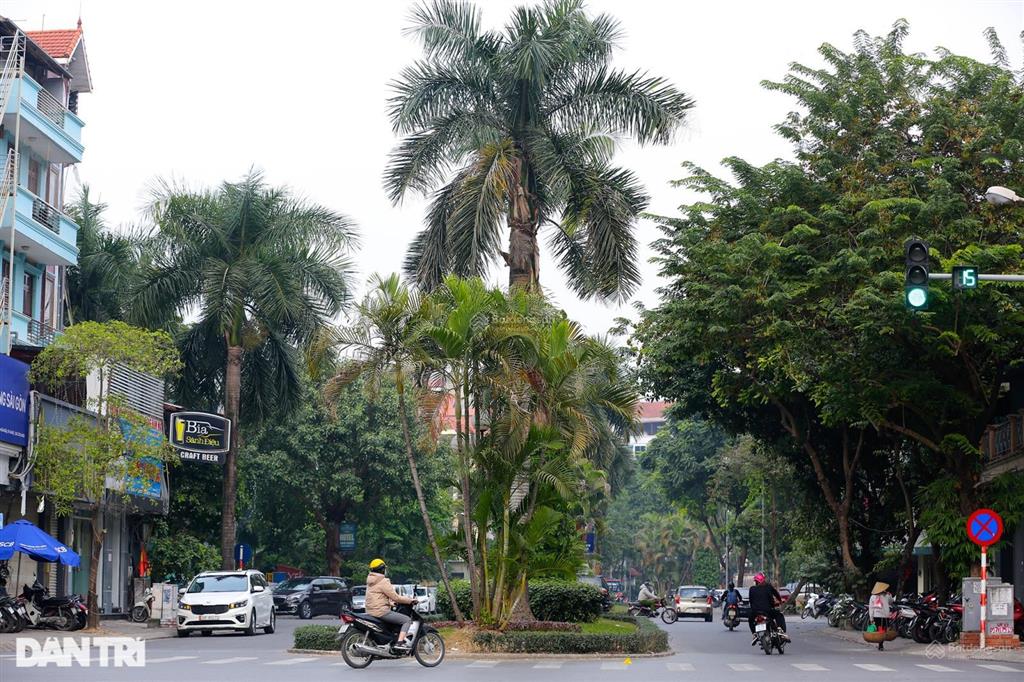 Bán nhà mặt phố lưu quang vũ, cầu giấy hai thoáng trước sau 5 tầng, mt 5.2m. giá 43 tỷ nhỉnh.