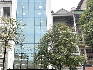 Building 8 tầng thang máydòng tiền 100tr/th. mặt phố nguyễn khang81m2giá 50 tỷ.