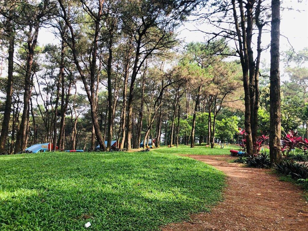 Sở hữu đại dự án 180.000m2 (18ha). đồi pheo, yên bài, ba vì cực tiềm năng