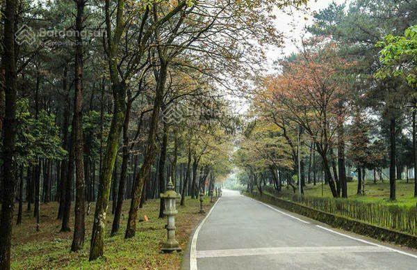 Sở hữu đại dự án 180.000m2 (18ha). đồi pheo, yên bài, ba vì cực tiềm năng