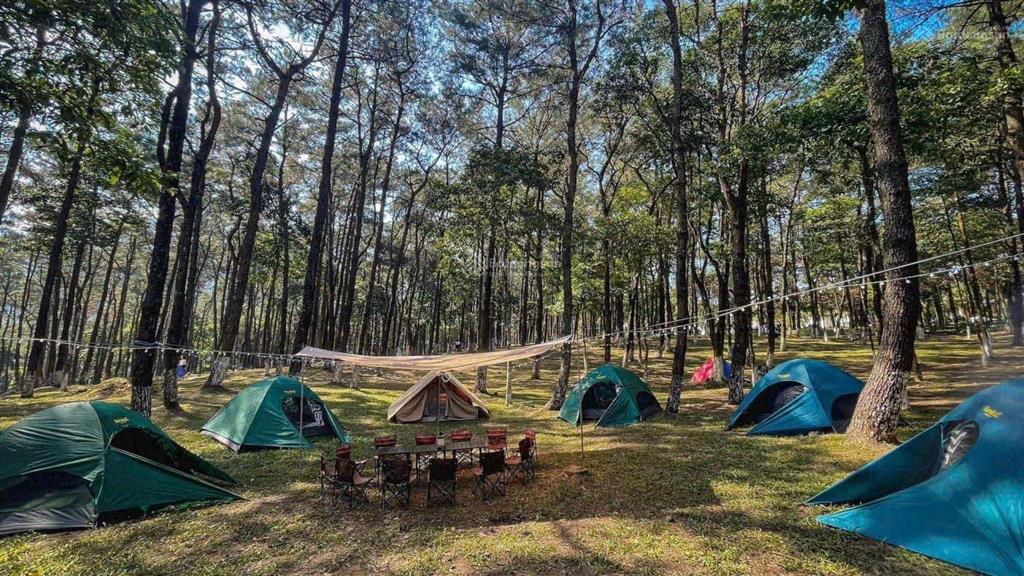Sở hữu đại dự án 180.000m2 (18ha). đồi pheo, yên bài, ba vì cực tiềm năng