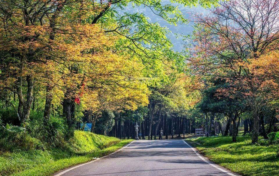 Sở hữu đại dự án 180.000m2 (18ha). đồi pheo, yên bài, ba vì cực tiềm năng