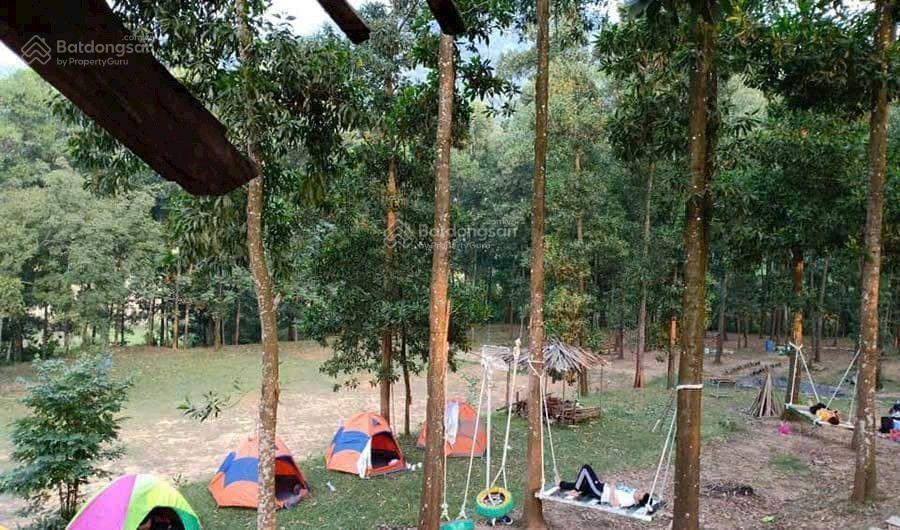 Sở hữu đại dự án 180.000m2 (18ha). đồi pheo, yên bài, ba vì cực tiềm năng