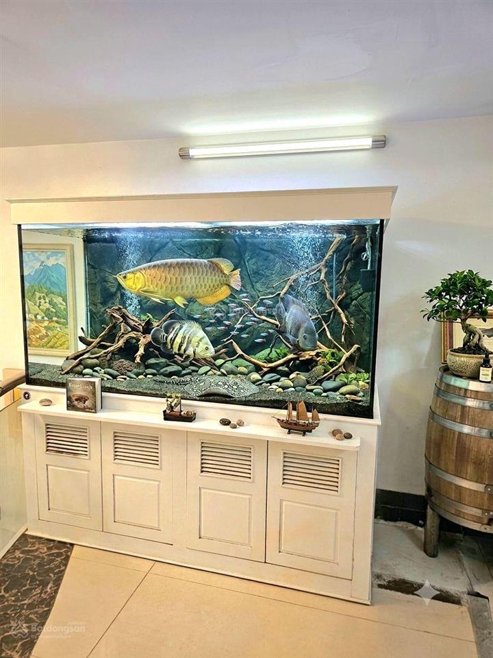 Bán nhà trần duy hưng  7 tầng thang máy, ngõ thông ô tô  em trai mặt phố, về ở ngay
