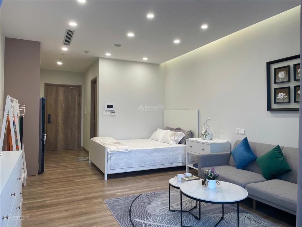 Bán căn hộ studio onsen ecopark