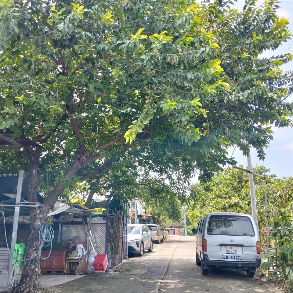 Bán nhà, dãy trọ đặng văn bi phường trường thọ thủ đức. đường ôtô tránh. giá 6.1 tỷ. giá đầu tư tốt