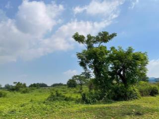 Bán đất khu công nghiệp long hậu cần giuộc, long an 30.000m2 giá ưu đãi pháp lý đầy đủ