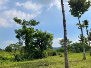 Chuyển nhượng 6,5 hecta đất khu công nghiệp tại vĩnh long