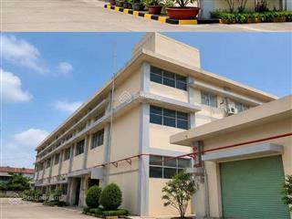 Cho thuê nhà xưởng 2.000 m2 pccc tự động kcn đức hòa, tây ninh (đức hòa, long an cũ)