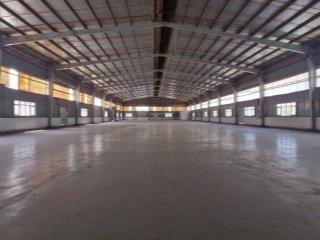 Cho thuê nhà xưởng 2.000 m2 pccc tự động kcn đức hòa, tây ninh (đức hòa, long an cũ)